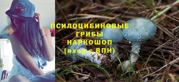мдпв Покровск