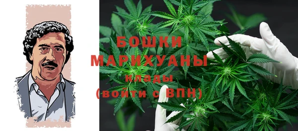 мдпв Покровск