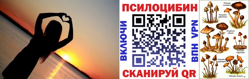 Купить где  Сунжа  Галлюциногенные грибы GOLDEN TEACHER 
