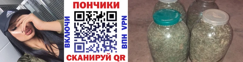 Бошки марихуана планчик  Купить где  Сунжа 